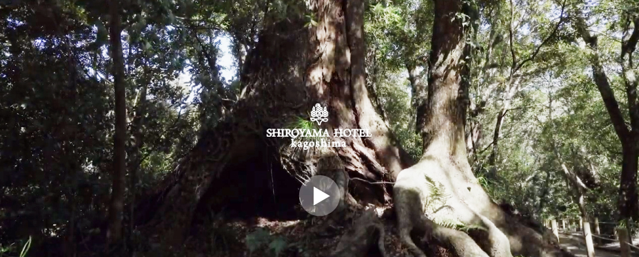 SHIROYAMA HOTEL brand Video