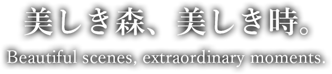 美しき森、美しき時。Beautiful scenes, extraordinary moments.