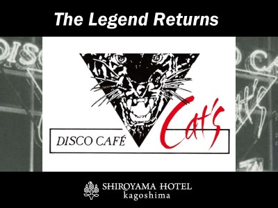 DISCO CAFÉ Cat&#039;s  -The Legend Returns-