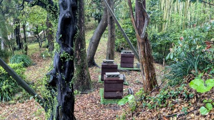城山の森みつばちプロジェクト6年目の春がスタート！