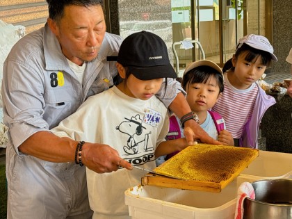 6月２日 巣箱から蜜蓋を取り出して挑戦！採蜜体験 ～城山の森みつばちプロジェクト2024～