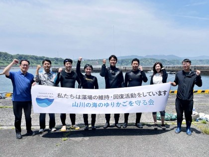 指宿市山川の漁港に“アマモ場=海のゆりかご”を再生