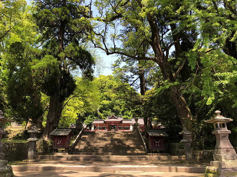 蒲生八幡神社（蒲生の大楠）