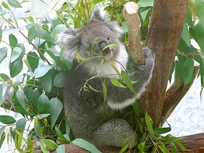 平川動物公園