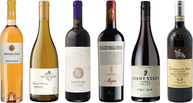 【限定40セット】ワンランク上のバラエティ6本セット
