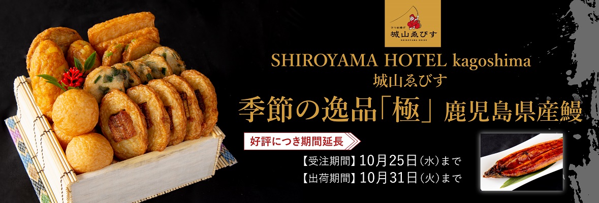 さつま揚げ　季節の逸品「極」鹿児島県産 鰻