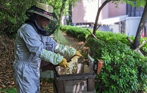 城山の森みつばちプロジェクト