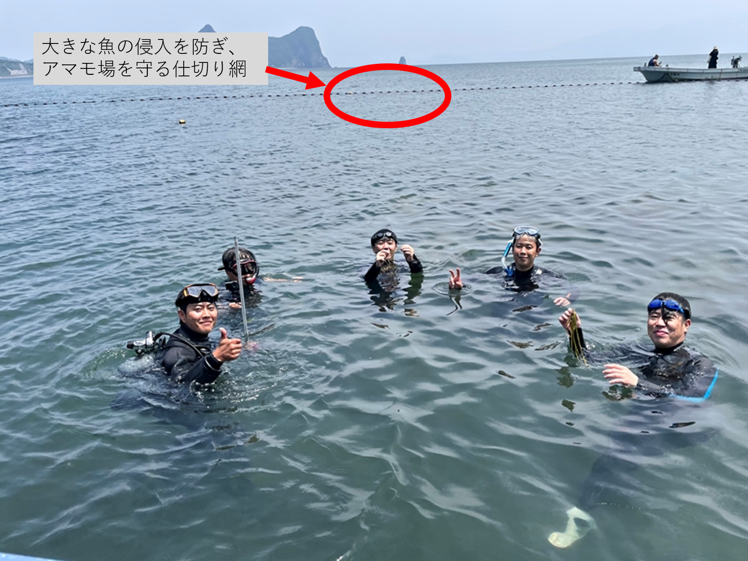 仕切り網も向こうに見えます