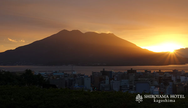 11月
