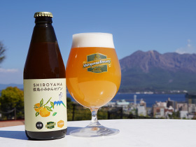 【数量限定】SHIROYAMA 桜島小みかんセゾン 6本セット