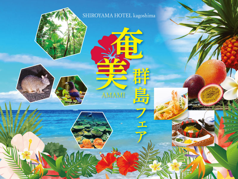 奄美群島フェア
