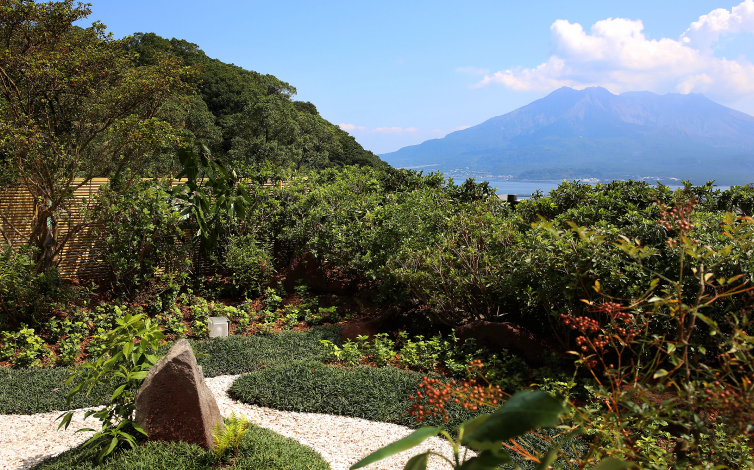 Japanese Garden Suite