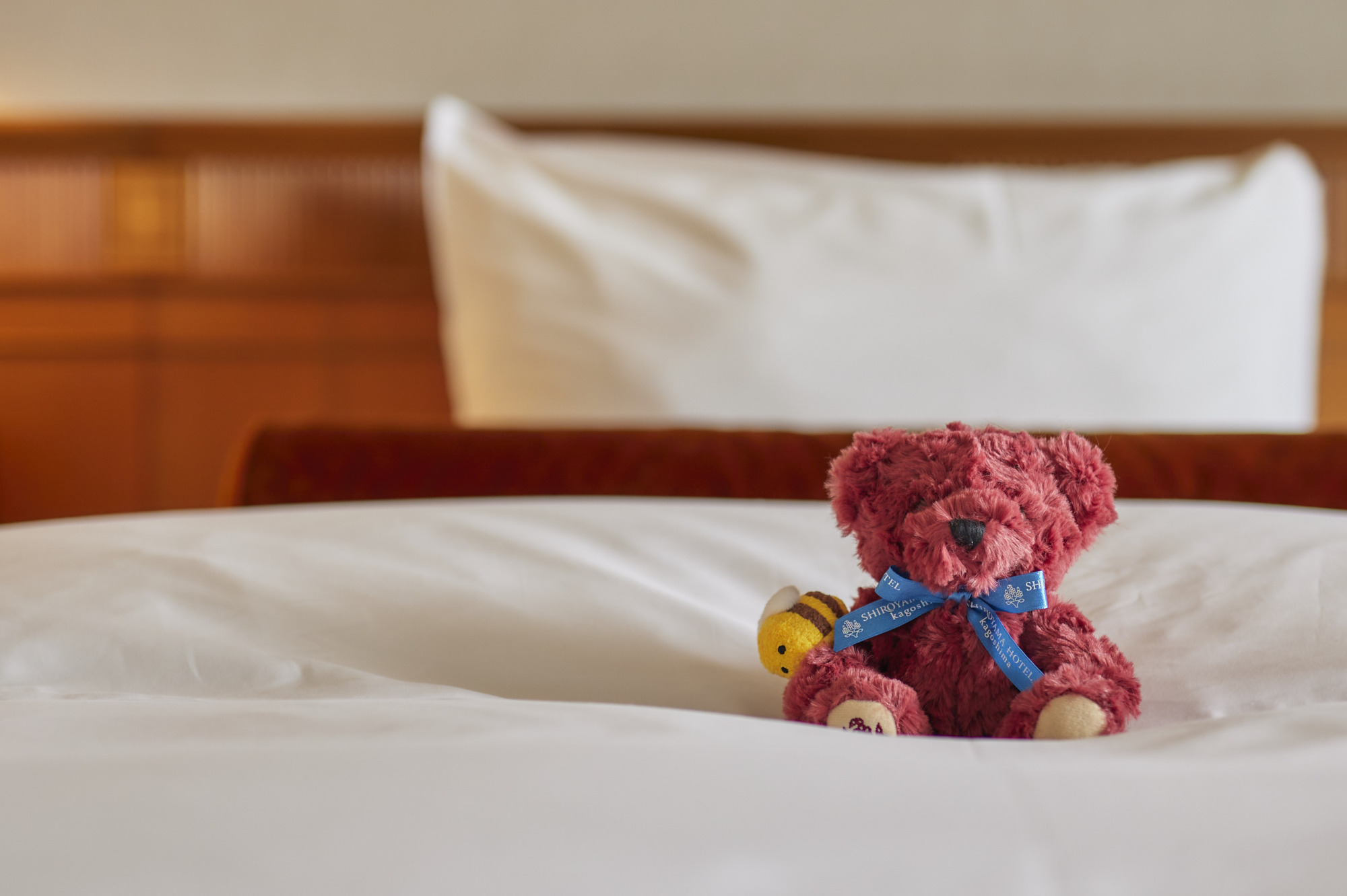 ジュニアスイート