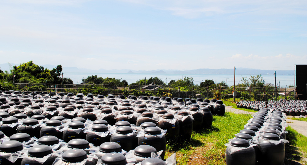鹿児島観光モデルコース～桜島と黒酢の郷 福山町～ SHIROYAMAコンシェルジュおすすめ