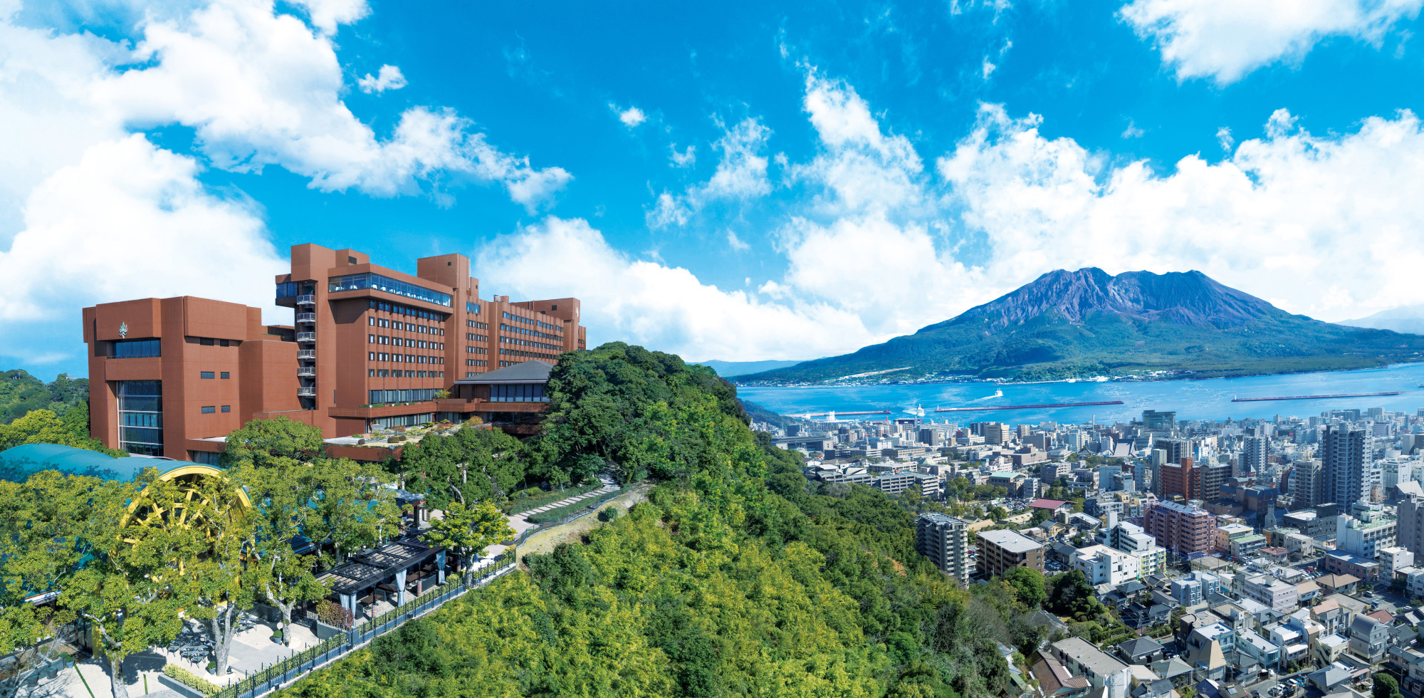 公式サイトリニューアル及びキャンペーンのお知らせ