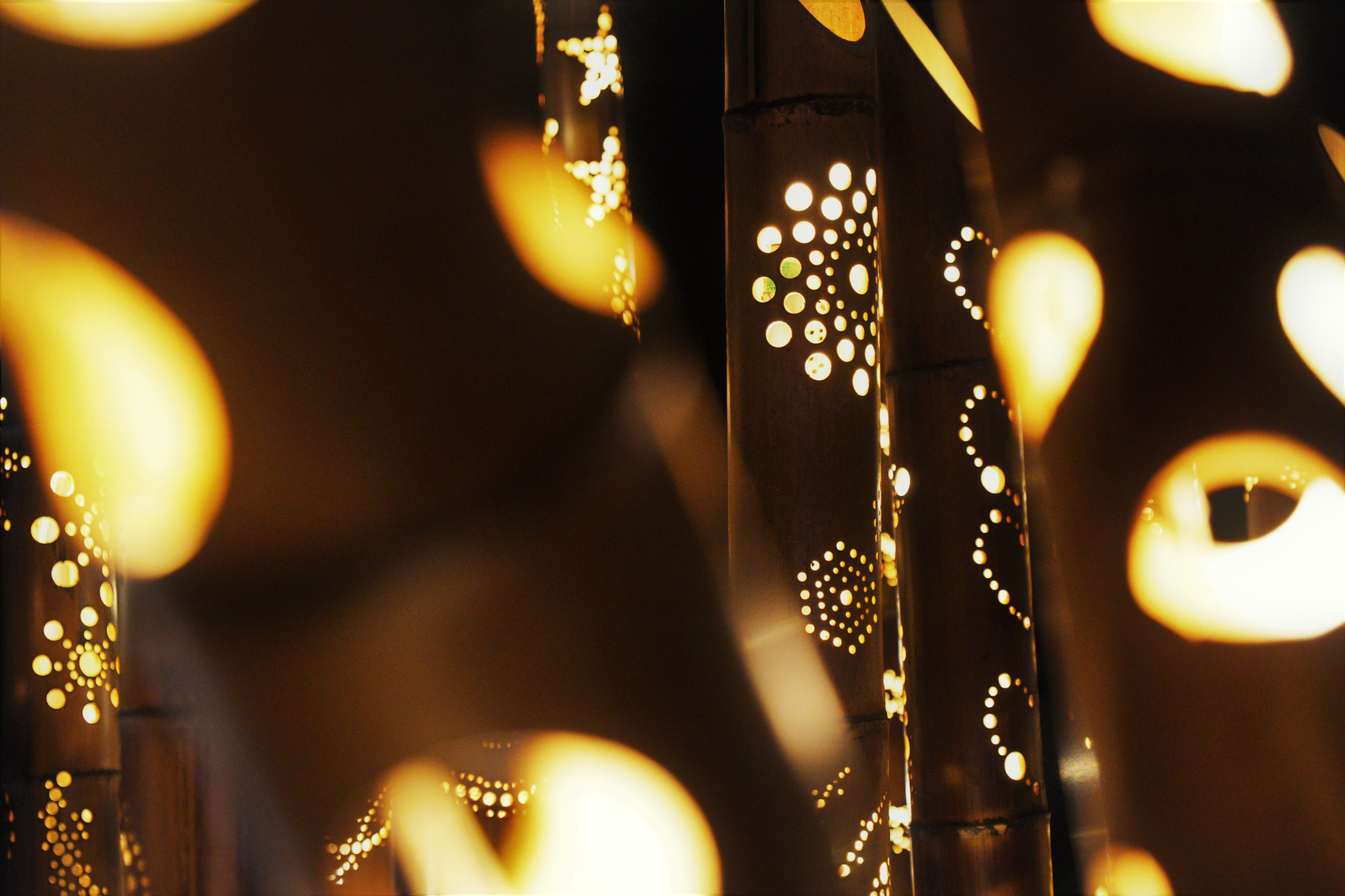 SHIROYAMA ウィンターライトアップ2025-2026