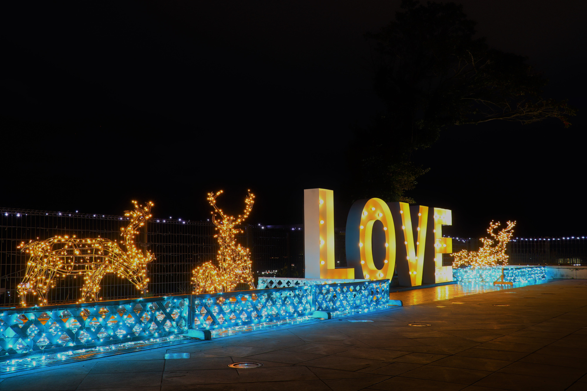 SHIROYAMA ウィンターライトアップ2025-2026