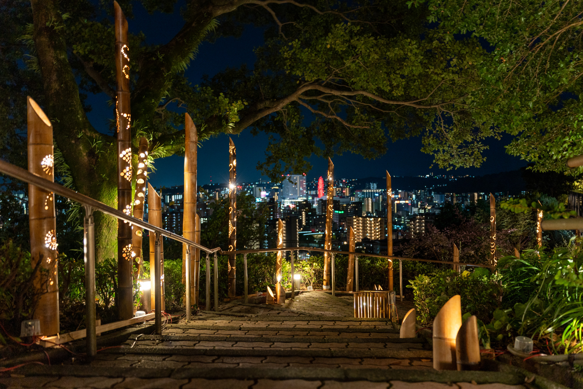 SHIROYAMA ウィンターライトアップ2025-2026