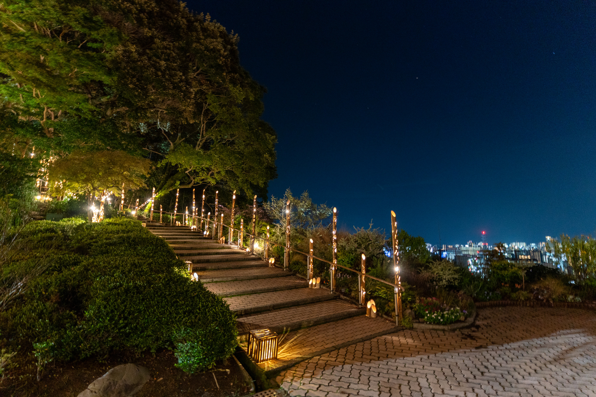 SHIROYAMA ウィンターライトアップ2025-2026