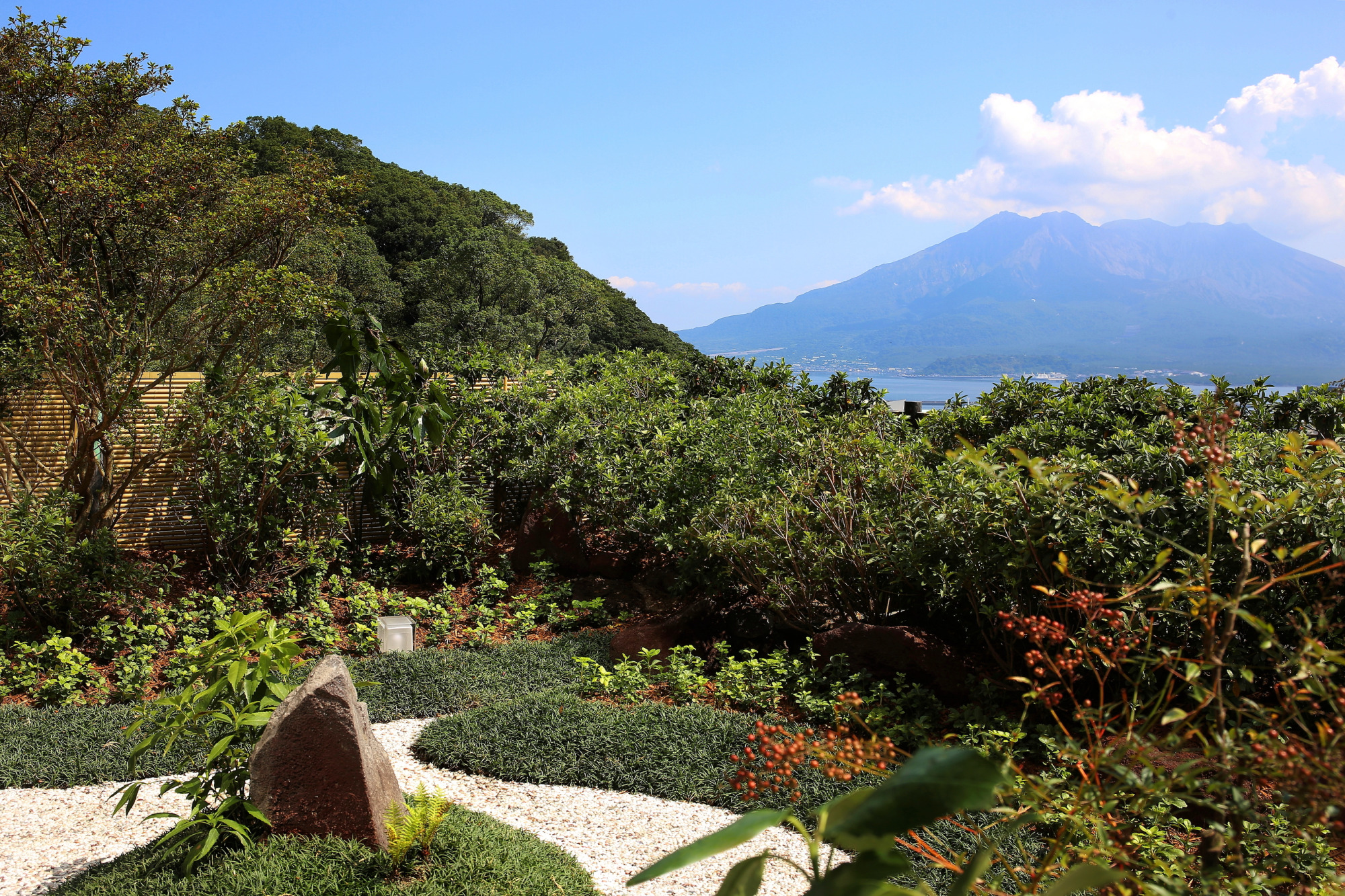 【7日間限定販売】2026新春福袋