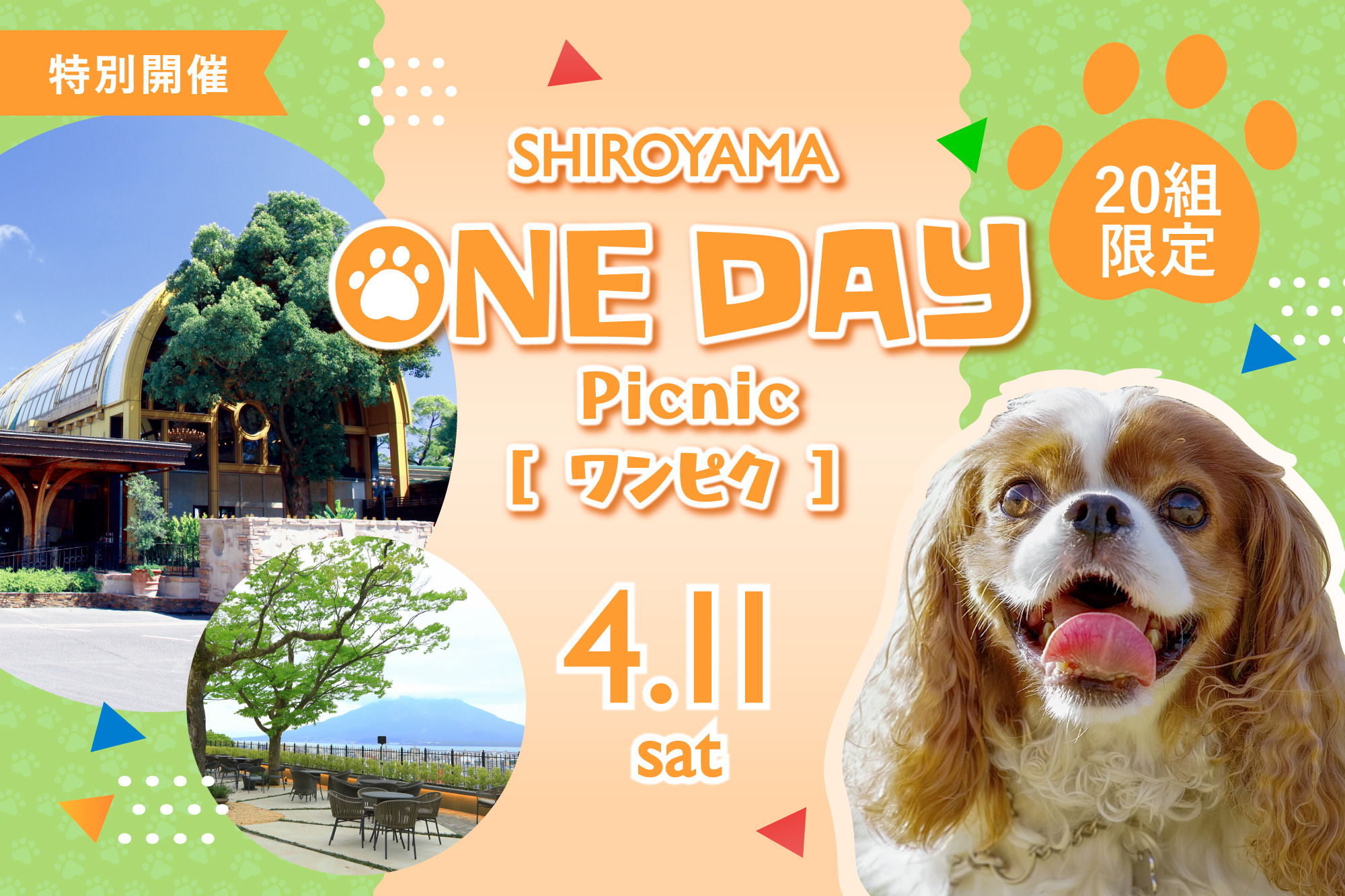 【特別開催】SHIROYAMA ONE DAY PICNIC［ワンピク］