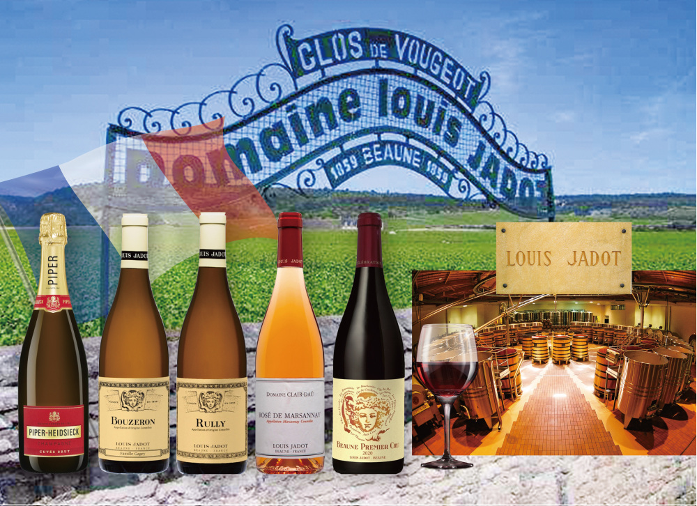 第239回 SHIROYAMAワイン会