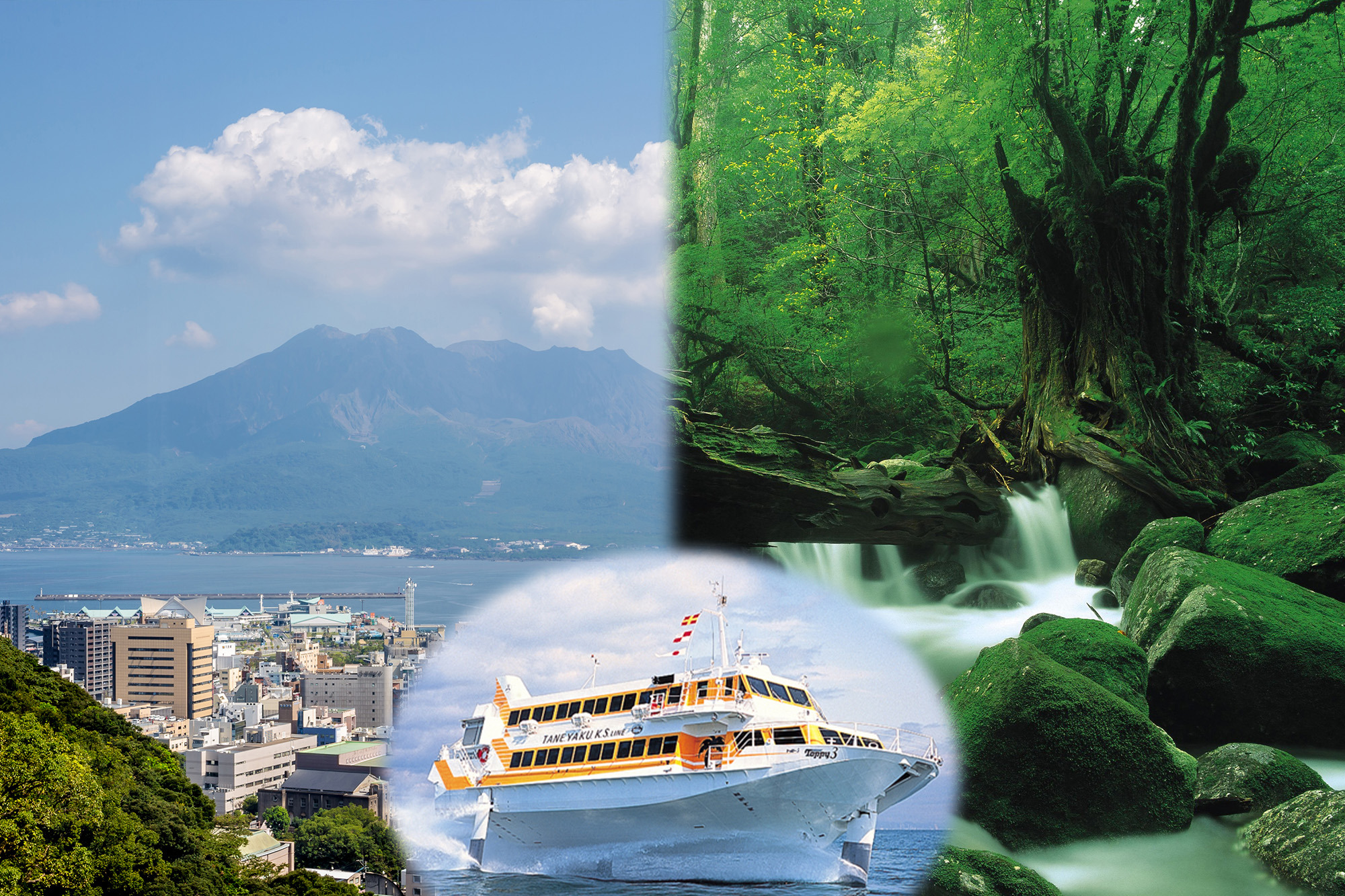 高速船トッピー&ロケットで行く!SHIROYAMA×IWASAKIが紡ぐ癒しのゆとり旅。桜島を望む特等席から世界遺産屋久島へ、五感を満たすプレミアムジャーニー【3日間・4日間】