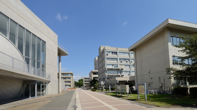 鹿児島大学 稲盛通り