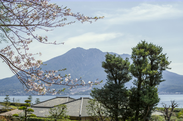 仙巌園 春のおまつり