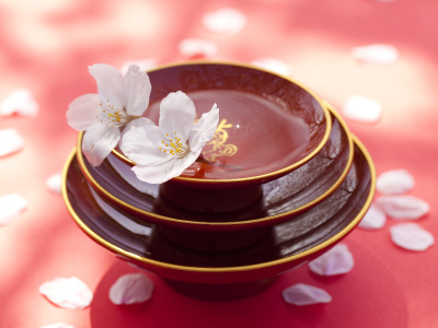 振舞い酒コーナー