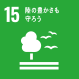 環境への取り組み